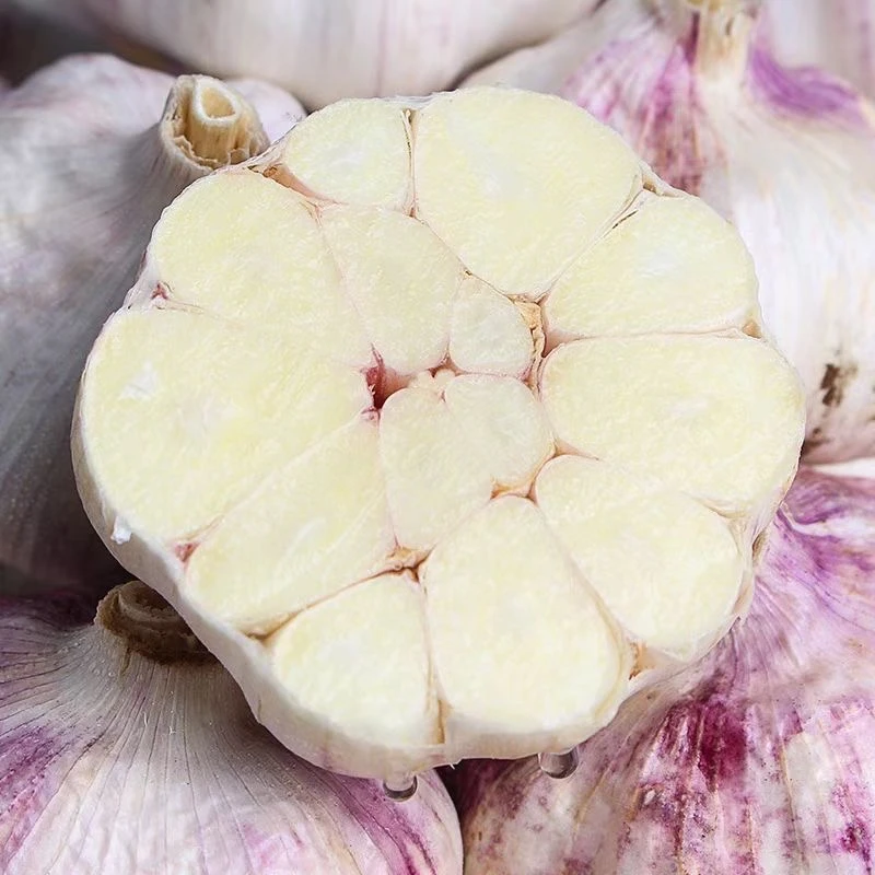 干蒜2025新干大蒜农家干大蒜紫白皮干蒜辛辣提香