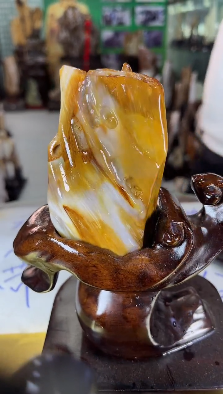 未镶嵌珠宝奇石硅化玉缅甸天然树化玉精品居家摆件