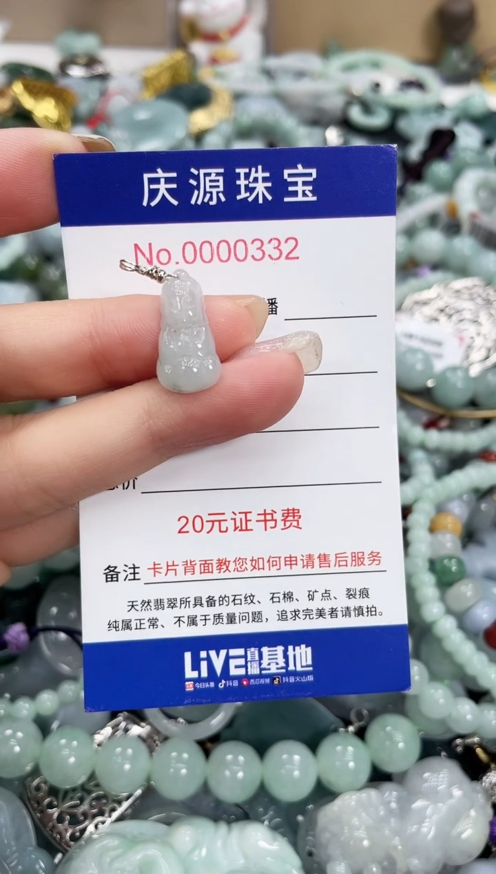 翡翠未镶嵌颈饰260