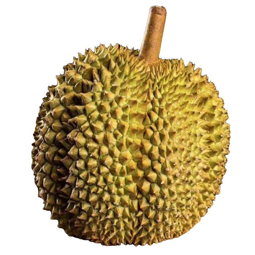 特价金枕鲜榴莲核小现剥纯果肉1斤-3斤榴莲同城配金枕泰国