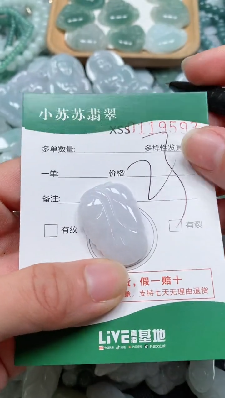 【闪购商品】翡翠颈饰未镶嵌闪购商品0119593