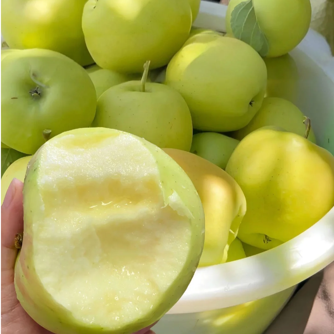 密云本地青苹果 自然成熟 大山里的特产 酸甜可口 拍3斤发4斤次日达包邮北京市