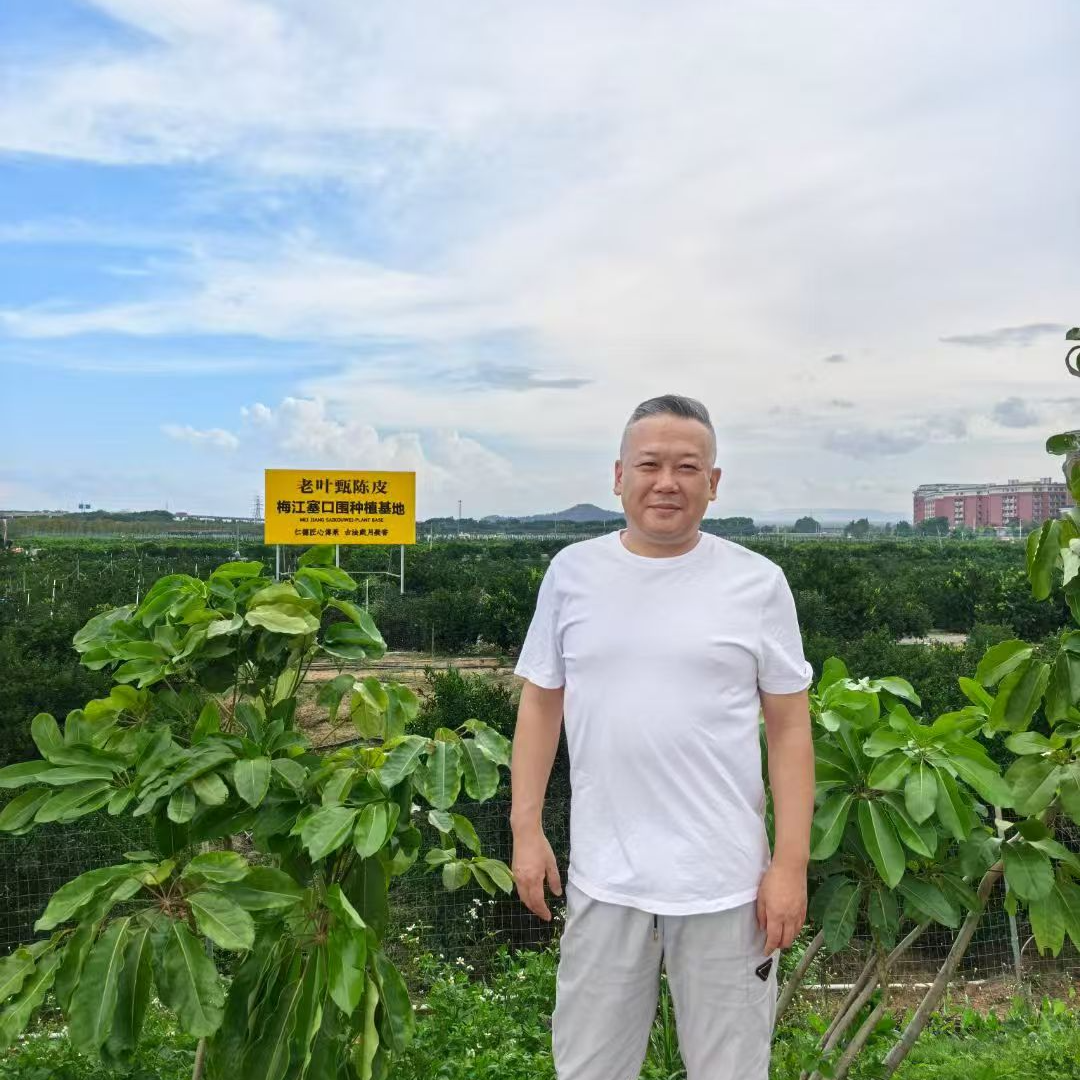 【老叶甄陈皮】2019年梅江塞口围冬后树顶果