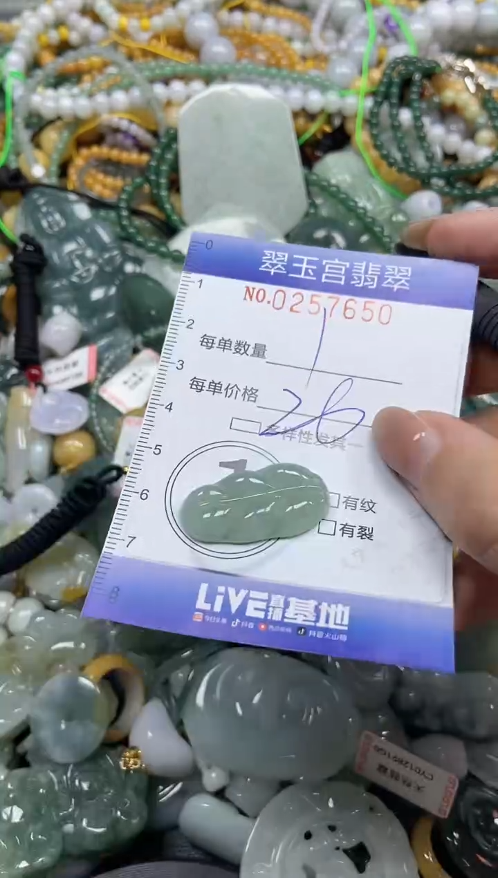 颈饰未镶嵌翡翠闪购C0257650