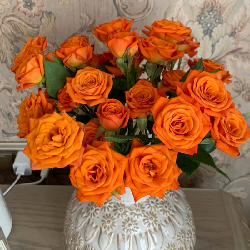 【橙色芭比按朵】多头新鲜花束花束基地直发家用客厅装饰