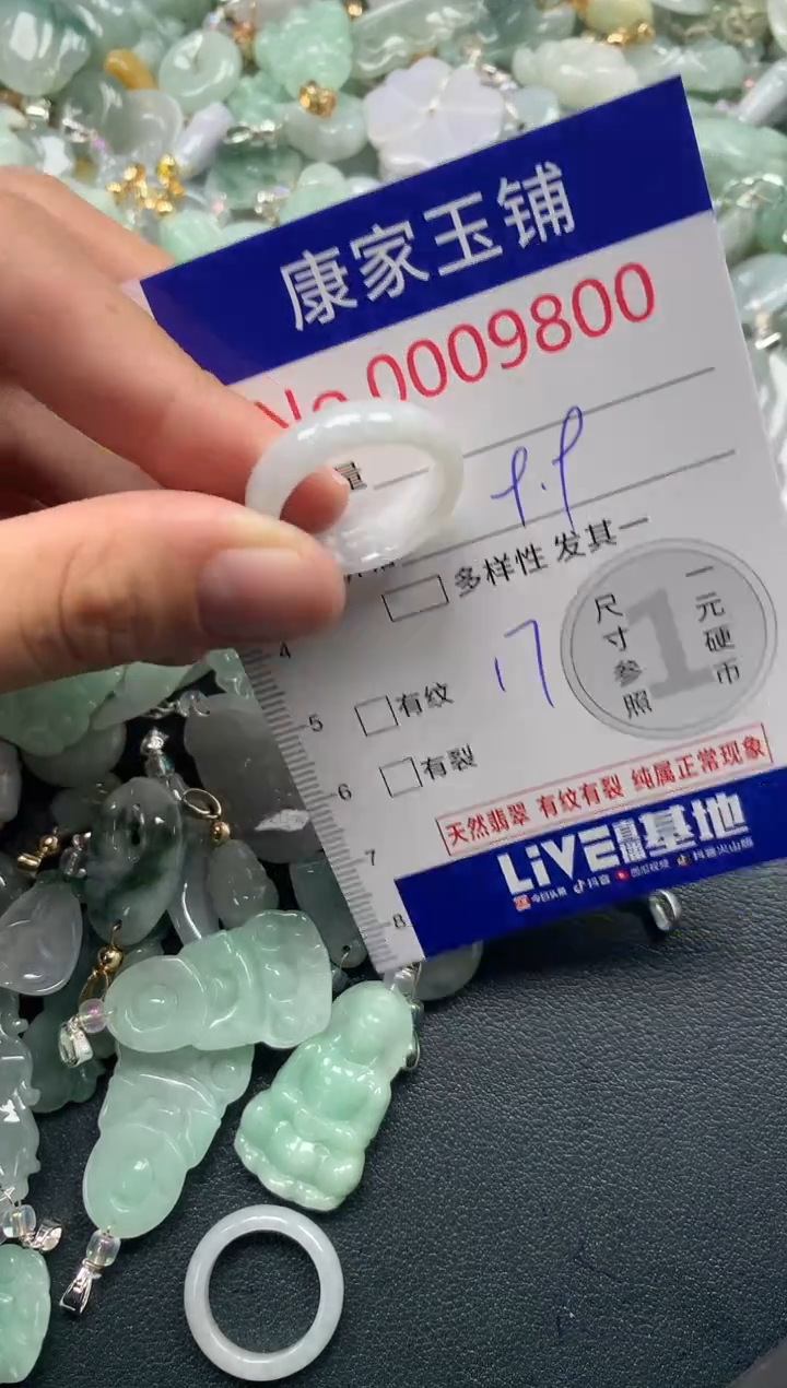 颈饰未镶嵌翡翠9800