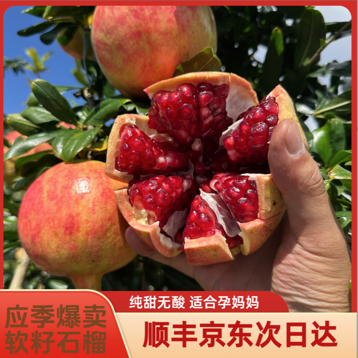 9284【次日达】顺丰包邮突尼斯软籽石榴新鲜爆汁自然成熟当季水果现摘带箱3-5斤四川省