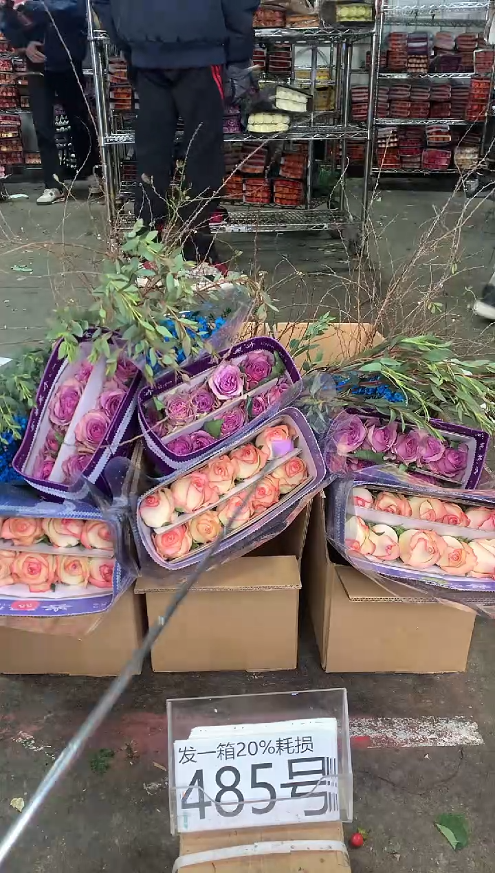 485号♥中通含20%耗损发一箱鲜花