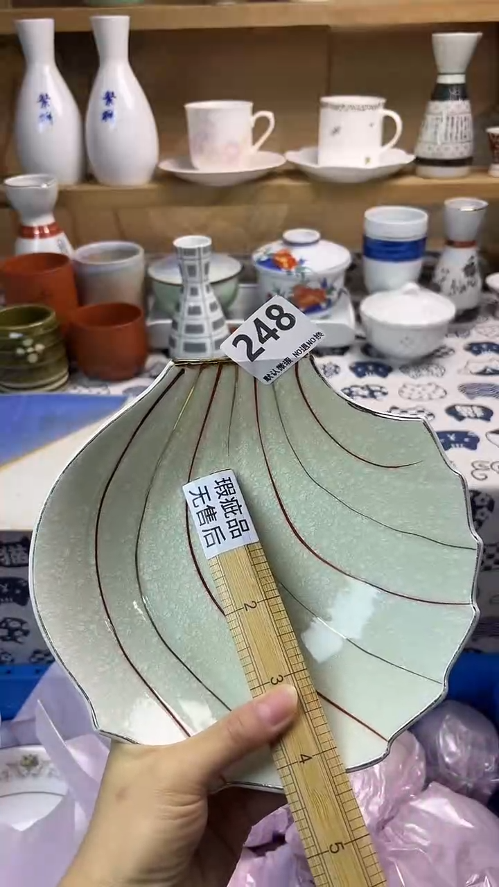瓷片?*?248     