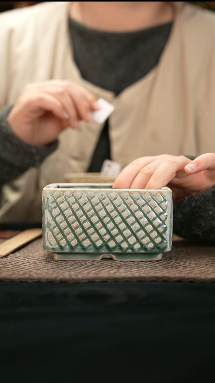 口径10花盆-12-27-365特默认有瑕