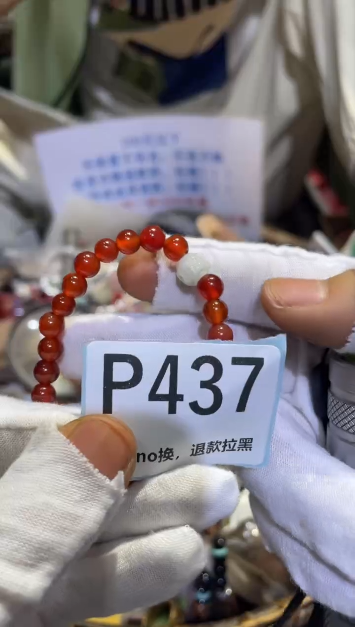 瓷片柳*儿表妹表妹热卖热卖