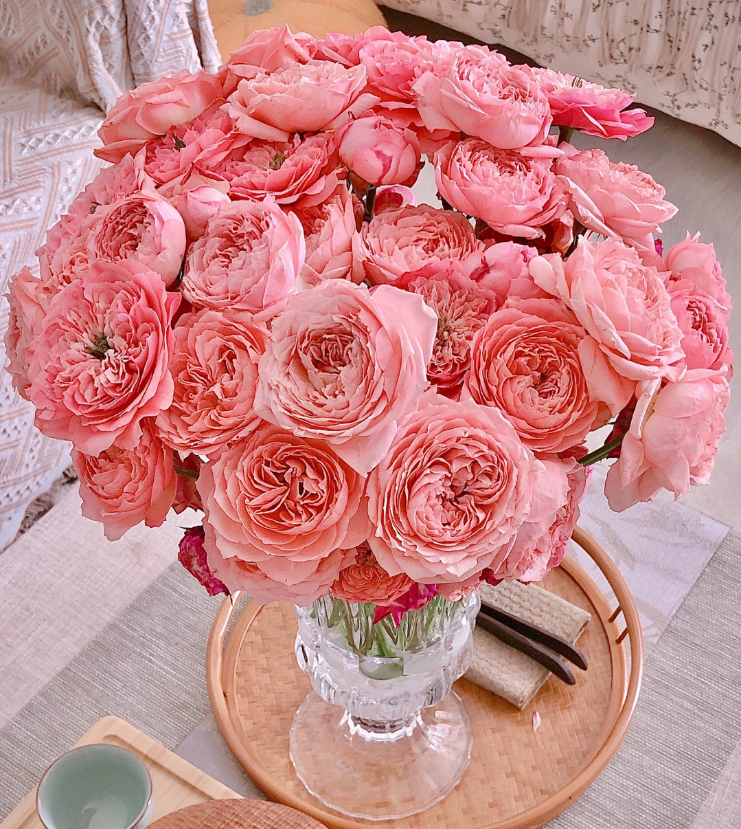 云南直发基地朱丽叶塔多头 玫瑰 鲜切花全场任意两单顺丰/京东