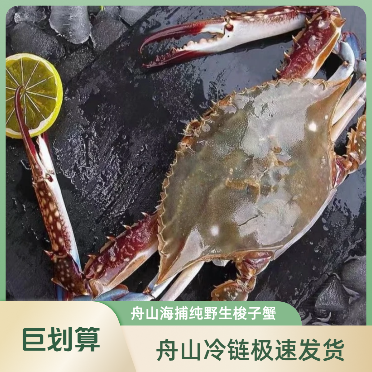 舟山海捕梭子蟹 公蟹 净重3斤/箱 3-4两/只 到手7-10只 舟山冷链发货【冻蟹】