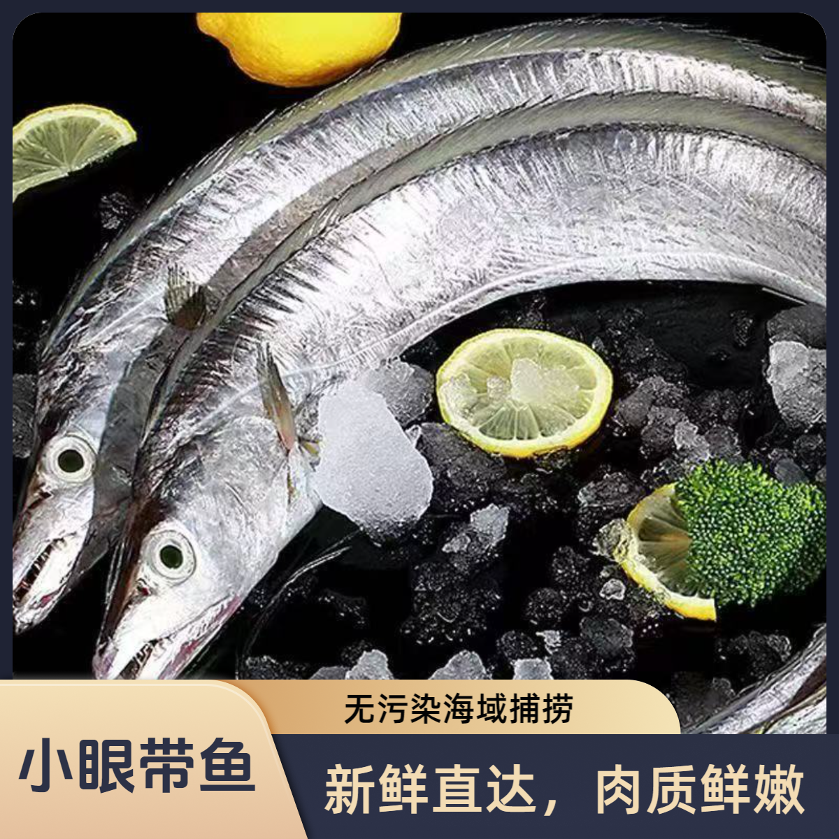 【东海小眼带鱼】整条带鱼无冰衣新鲜速冻连云港发货