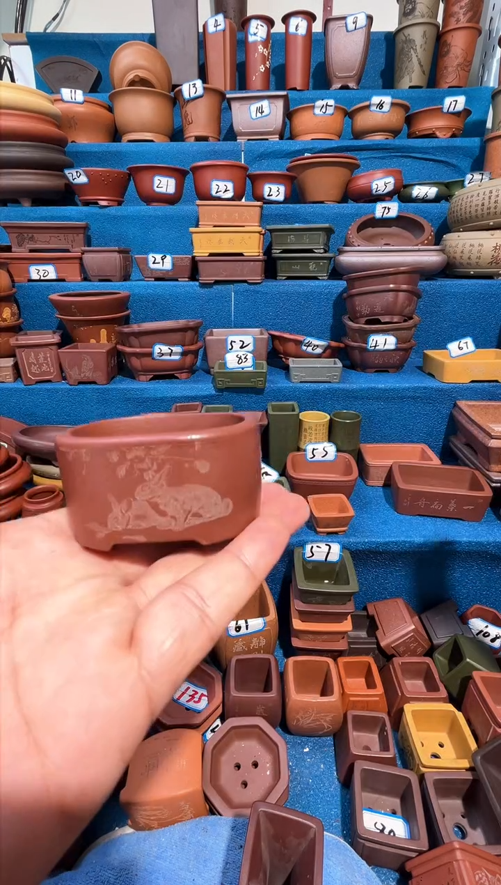 【闪购商品】紫砂紫砂花盆6*4.5*2.7