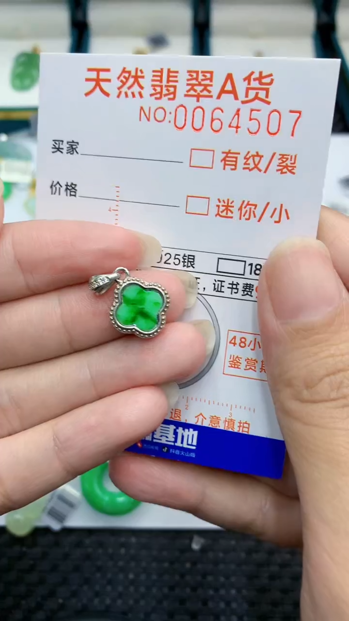 【闪购商品】翡翠颈饰银S925镶嵌            8