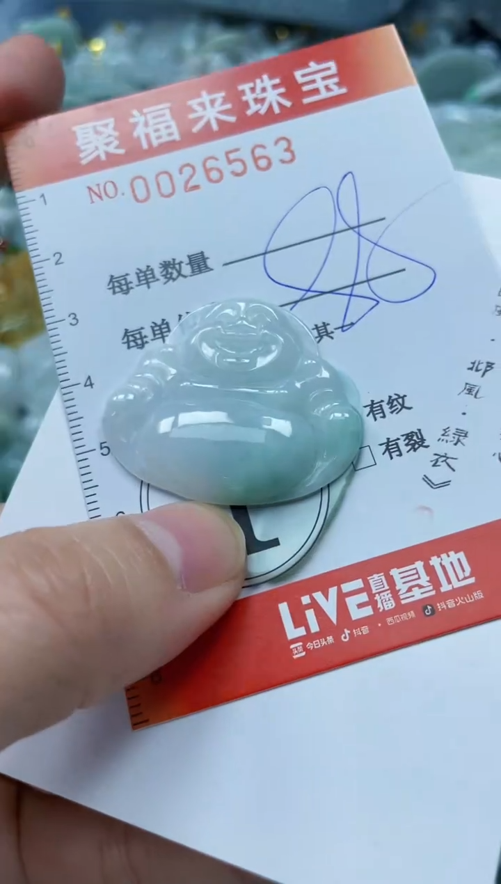 【闪购商品】翡翠颈饰未镶嵌闪购0026563