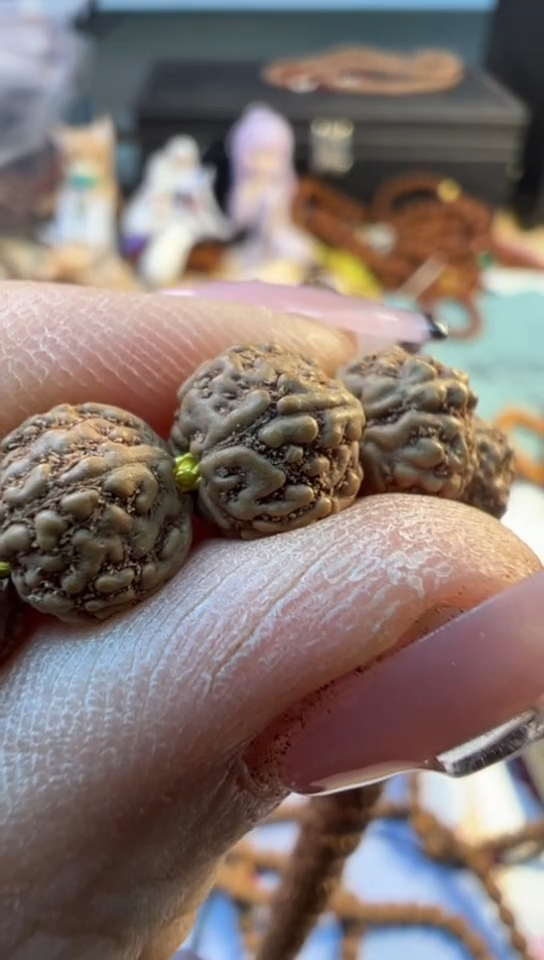 【闪购商品】金刚菩提手串690原桩葛地利一代龙尺寸6-7+