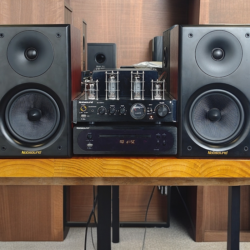 诺普声NS2000+10D高保真低音炮发烧HIFI音响组合影音套装家庭音响