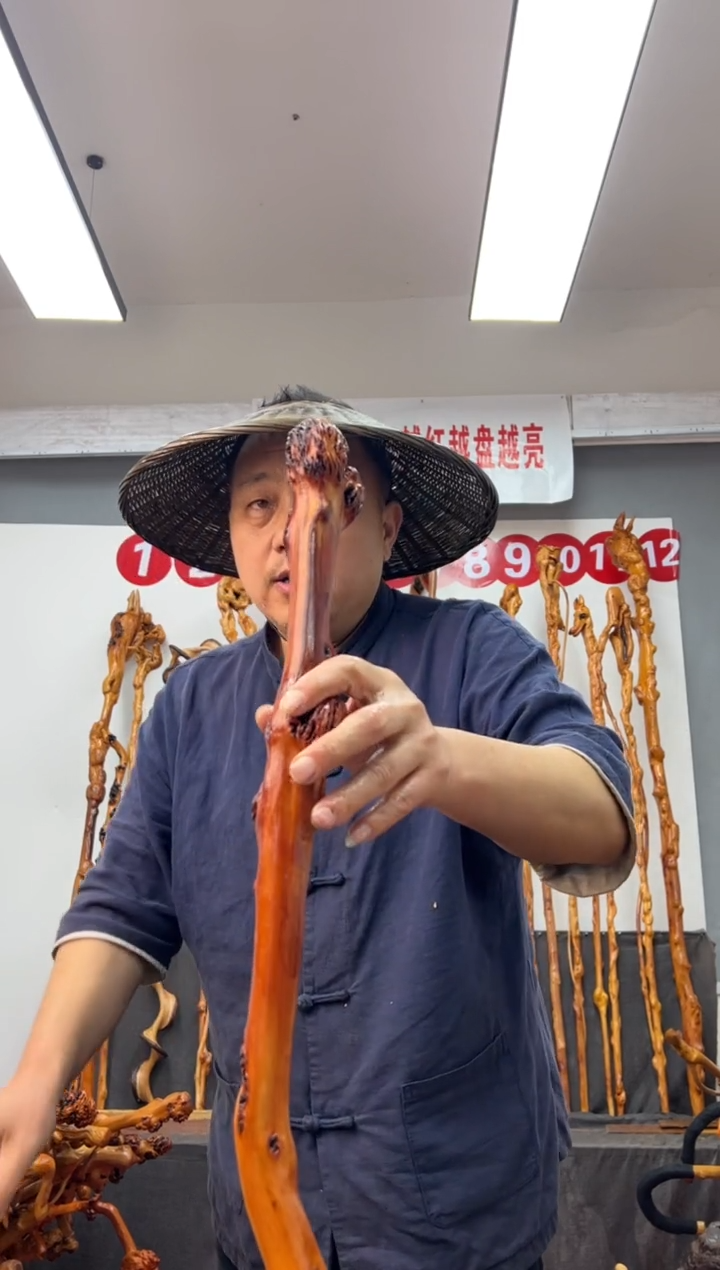 【闪购商品】黑果木其他黑果木517