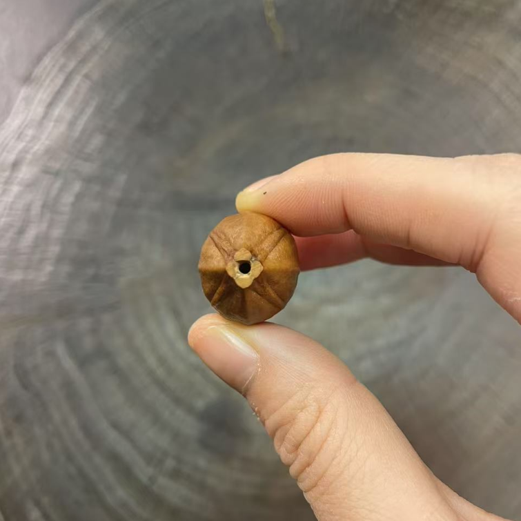 铁核四花