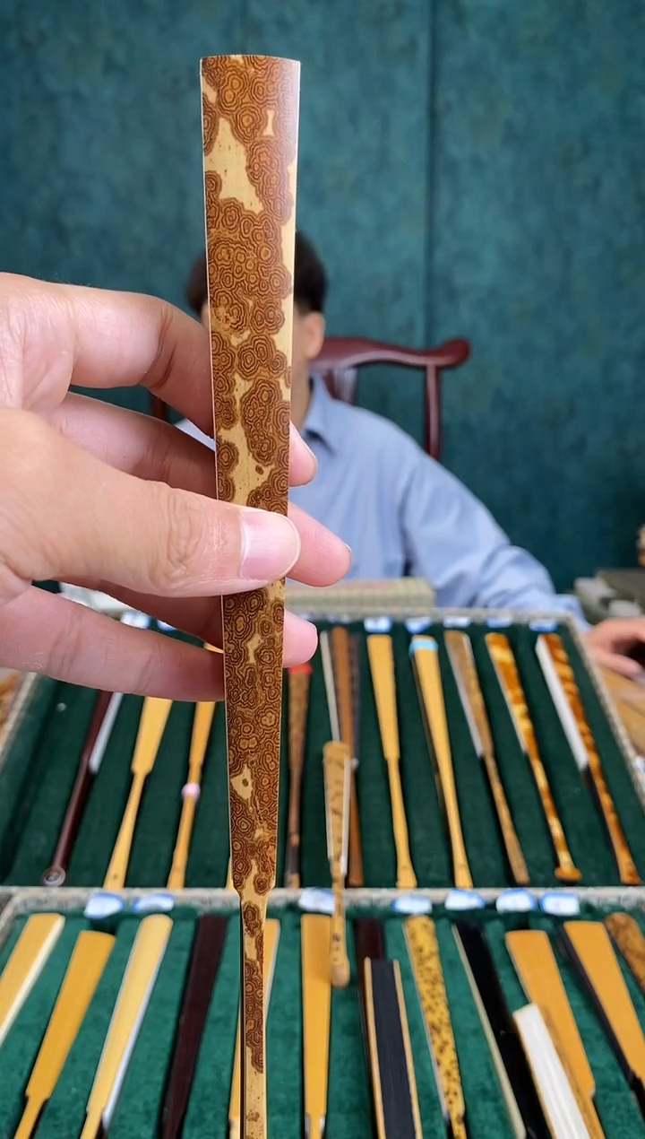 扇子绿木小骨明燕头型