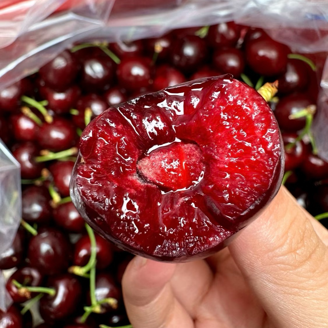 4J桑提娜车厘子 2.5斤海运桑提娜智利