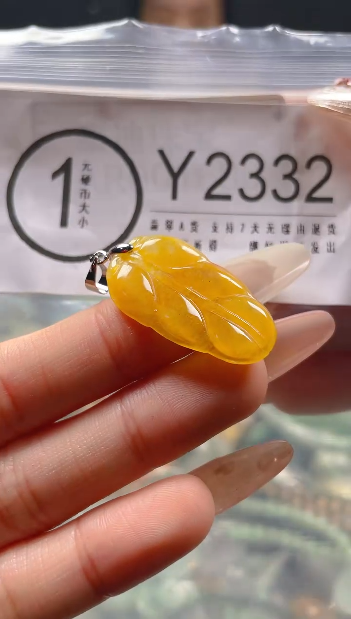 【闪购商品】翡翠颈饰未镶嵌/Y/翡翠A货一图一物
