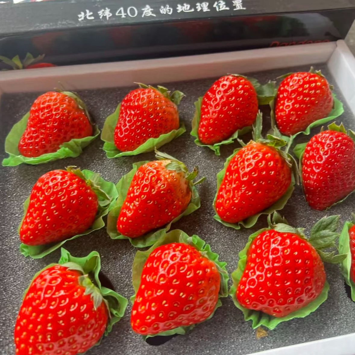 丹东红颜99草莓 香甜浓郁  礼盒包装 只发川渝