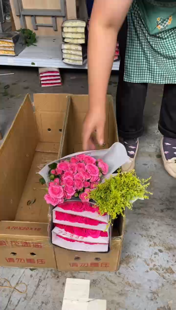 佛洛依德20枝+苏菲10枝+黄莺