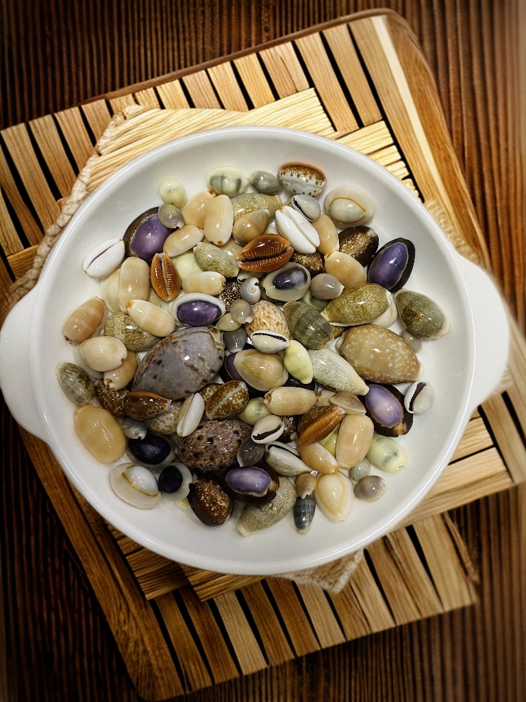 天然【宝螺混装】鱼缸造景家居装饰DIY