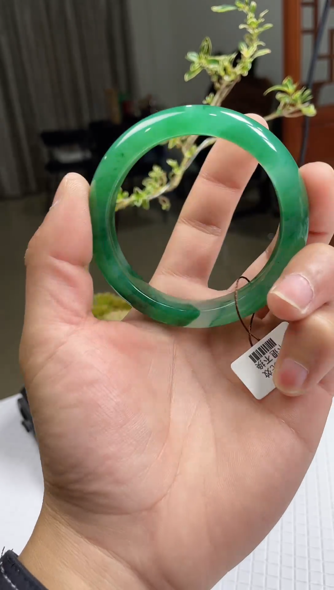 【闪购商品】石英质玉手镯未镶嵌非洲翠手镯多样性发货