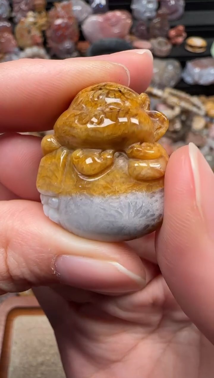 颈饰未镶嵌硅化珊瑚（珊瑚玉）658