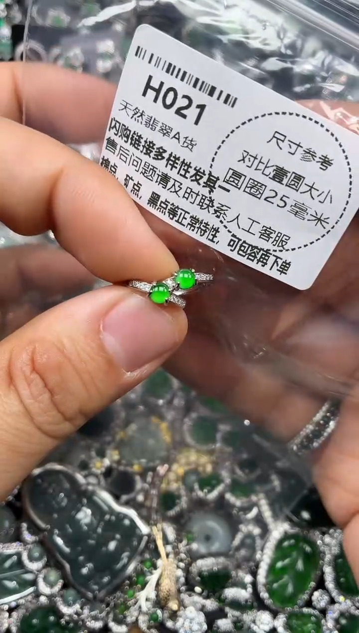 颈饰未镶嵌翡翠H021耳扣