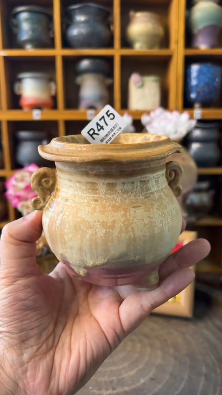 475 内口6.5【多肉花盆多肉盆】