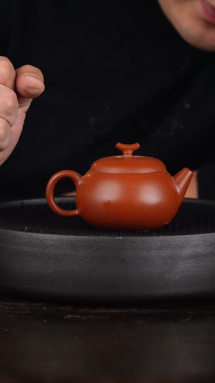 【闪购商品】紫砂茶壶二Terry他认为