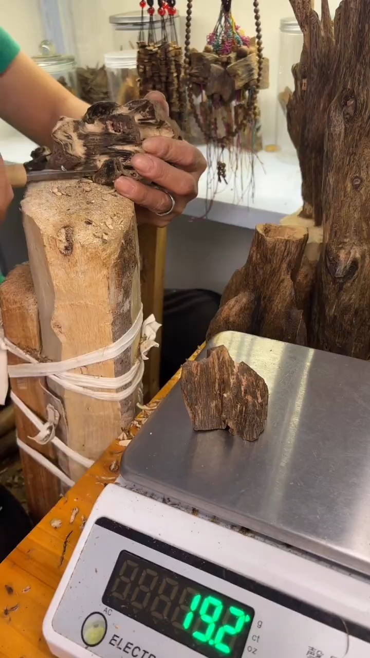 沉香沉香碎屑张勺子品种19克