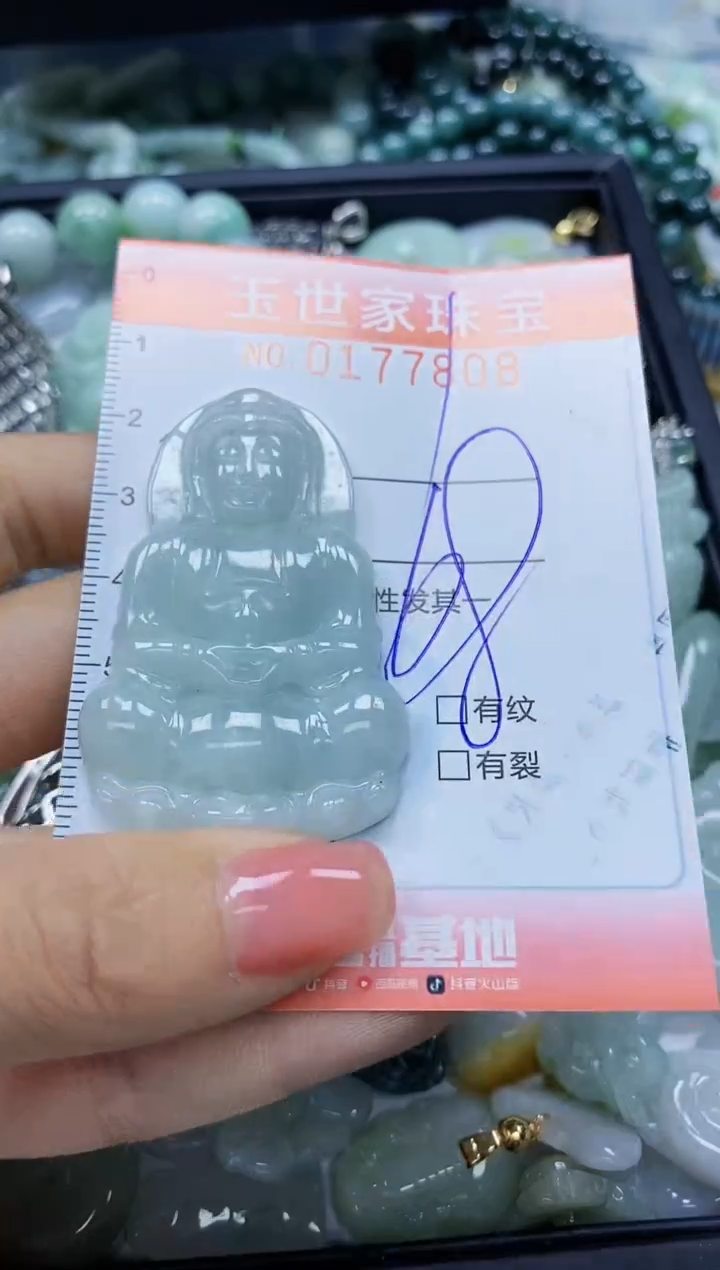 【闪购商品】翡翠颈饰未镶嵌闪购0177808