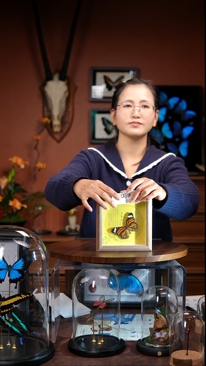 ?**?N059    虎斑蝶