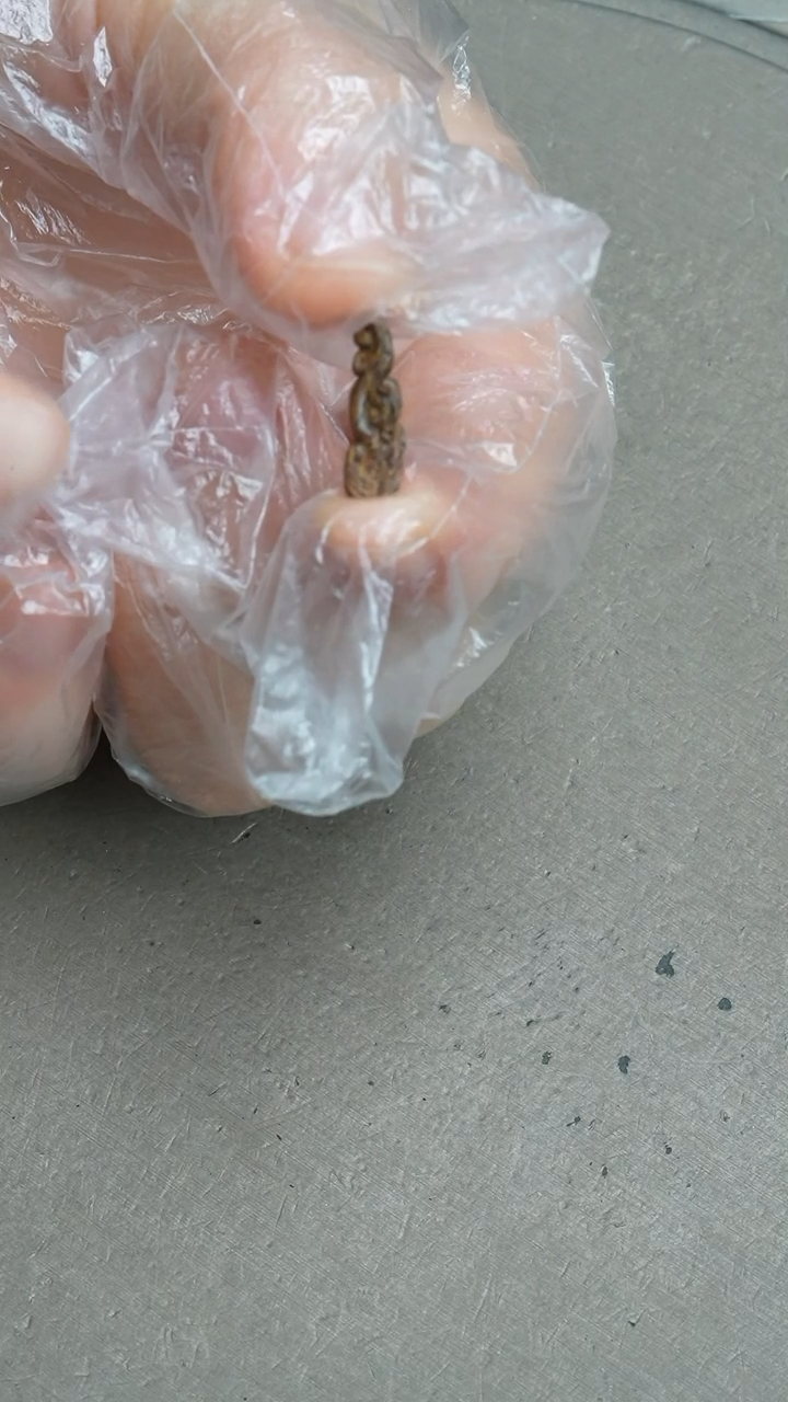 【闪购商品】沉香吊坠沉水越南芽庄白奇楠沉香0.09克雕刻挂件