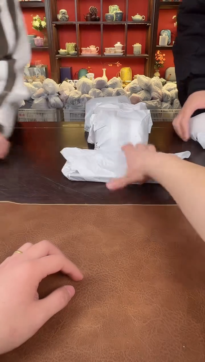 【闪购商品】布偶猫111111111111111