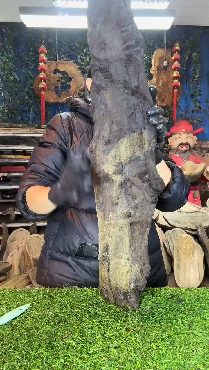 金丝楠小叶桢楠37