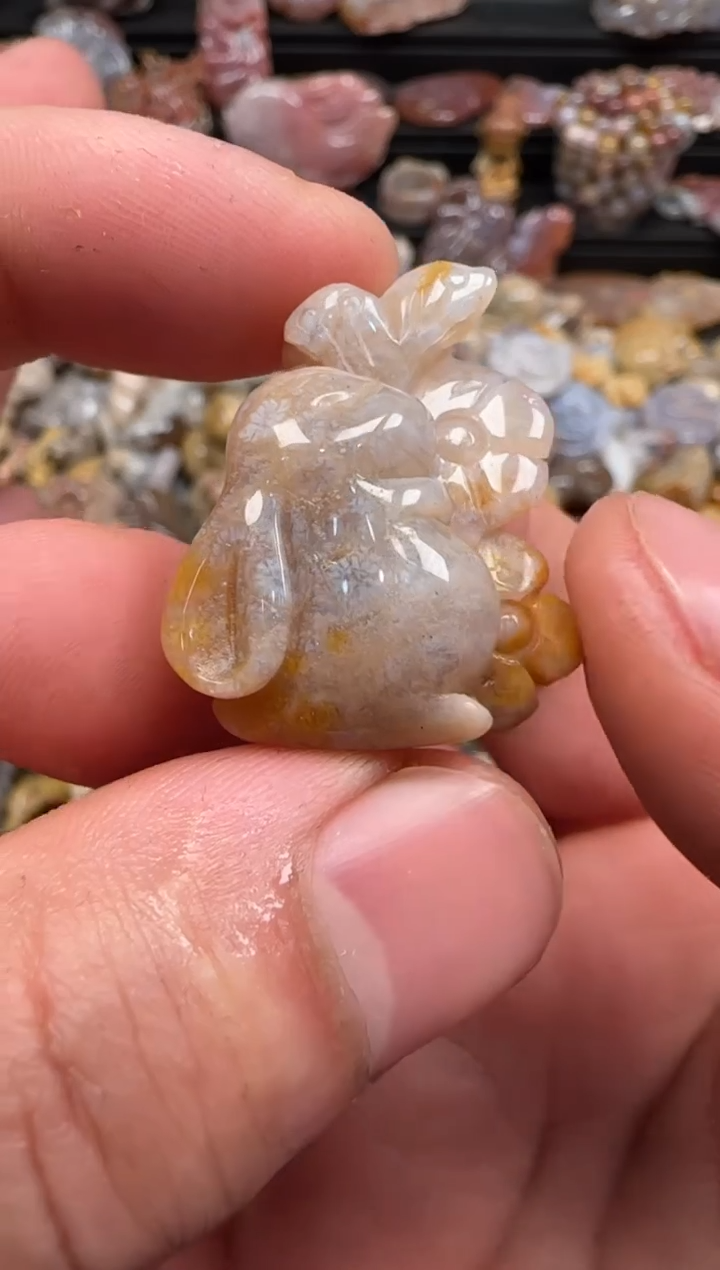 【闪购商品】硅化珊瑚（珊瑚玉）颈饰未镶嵌753