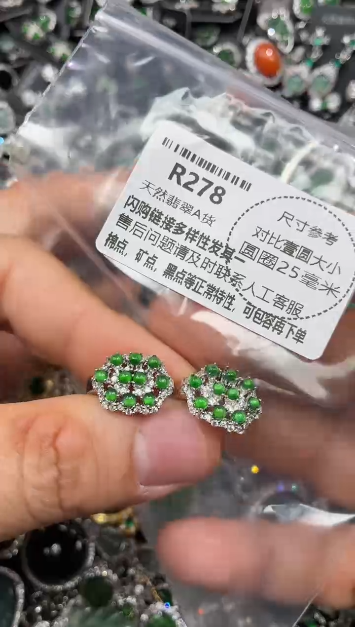 颈饰未镶嵌翡翠R278耳扣