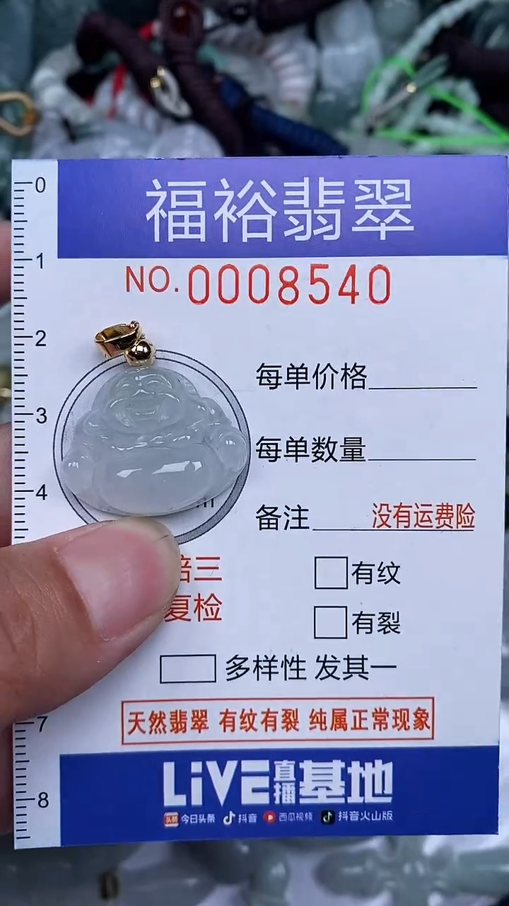 颈饰未镶嵌翡翠...0008540