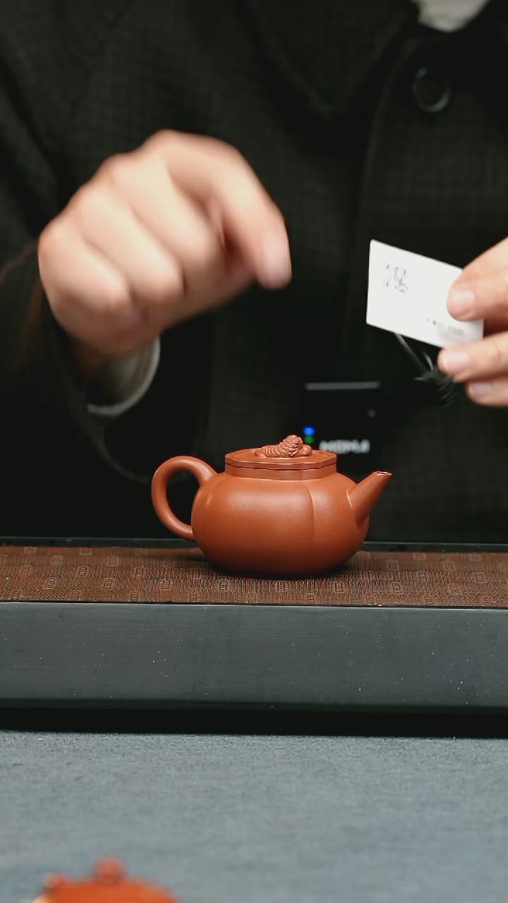 【闪购商品】紫砂茶壶五堂  剑流狮球