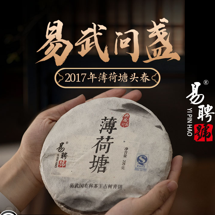 易聘号2017年薄荷塘头春古树纯料200g/饼普洱茶生茶