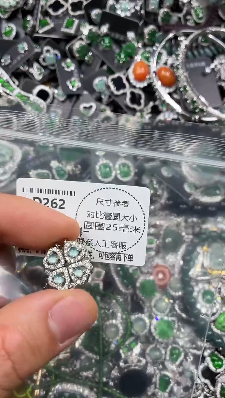 颈饰未镶嵌翡翠D262项链
