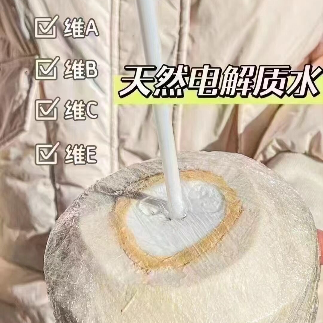 马来西亚椰皇口感清新低糖低卡1斤椰青