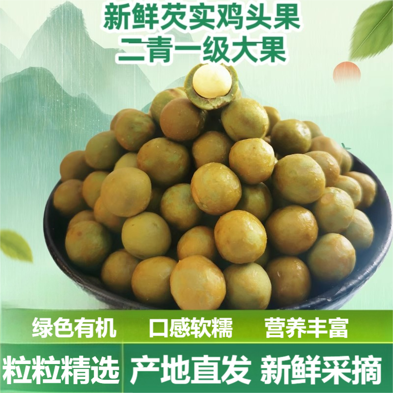 2025年天长芡实新鲜鸡头果鸡头米籽带壳精选二青一级大果11-12mm